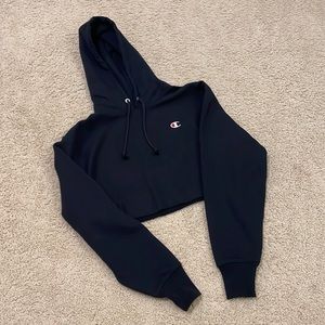 Champion Reverse Weave Cropped Hoodie